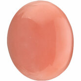 Oval Genuine Coral